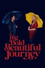 Nonton Movie A Big Bold Beautiful Journey (2025) Subtitle Indonesia